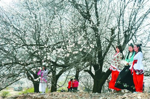 闪电体育直播 实时赛事画面